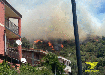 Vasto incendio nelle campagne di Seulo, sul posto hanno operato cinque elicotteri e tre canadair
