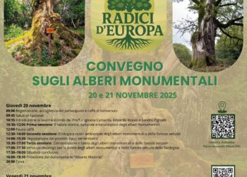 Il 20 e 21 novembre, a Illorai, nella Fattoria Didattica del Parco di Iscuvudè, si terrà un convegno sugli alberi monumentali