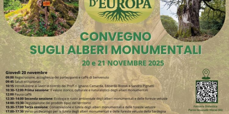 Il 20 e 21 novembre, a Illorai, nella Fattoria Didattica del Parco di Iscuvudè, si terrà un convegno sugli alberi monumentali