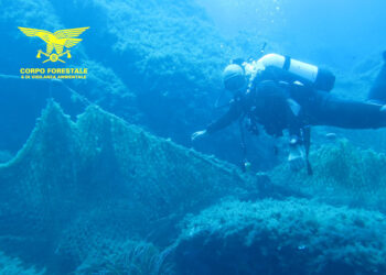 Il Corpo forestale ha portato a termine un’operazione per la rimozione dai fondali marini di reti abbandonate, recuperate nell’Area Marina Protetta di Villasimius – Capo Carbonara
