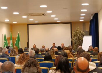 Il prezzo del grano crolla. Cia: «Ue e Governo tutelino  il settore cerealicolo dall’import selvaggio»