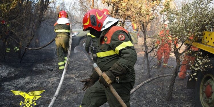 Incendio nelle campagne di Turri