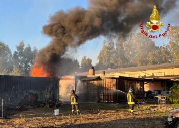 Incendi di vegetazione a Suni, Sindia, Borore e Macomer
