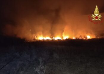 Olbia: incendio nei pressi dell’aeroporto