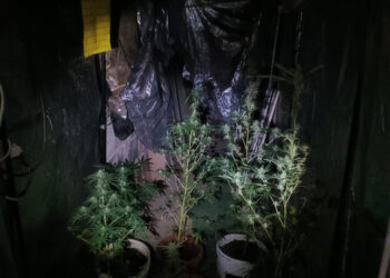 Spaccio di stupefacenti, denunciato un sassarese