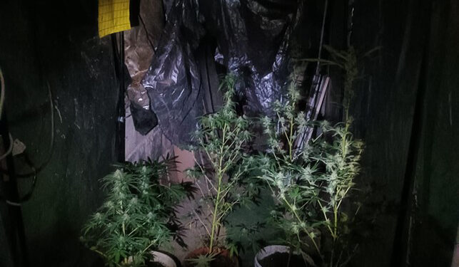 Spaccio di stupefacenti, denunciato un sassarese