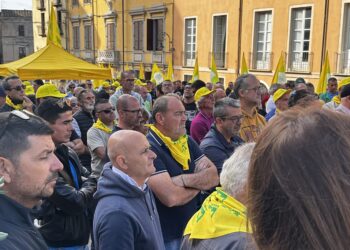 Coldiretti Sardegna contro le importazioni senza regole di grano 