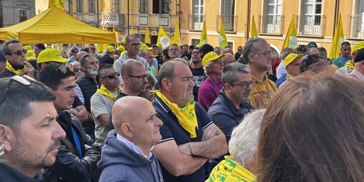 Coldiretti Sardegna contro le importazioni senza regole di grano