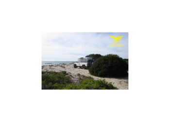 Siniscola: fuoristrada in area demaniale, sanzionati i conducenti