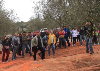 A Usini la “Comunità dell’Olio”