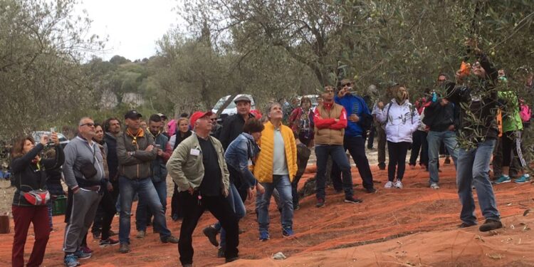 A Usini la “Comunità dell’Olio”