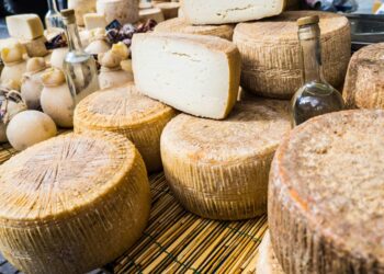 La Regione Sardegna partecipa all’appuntamento internazionale Slow Food 2025, con 18 aziende del settore caseario