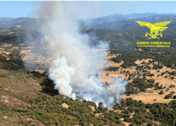 Sui diciotto incendi venerdì 5 settembre sul territorio regionale, due hanno richiesto l’intervento dei mezzi aerei della flotta regionale