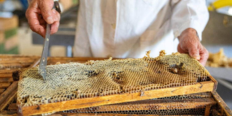 Sabato a Selegas la tavola rotonda organizzata dal Gal Sgt: “Territori in transizione: il futuro e le sfide del mondo rurale in tempo di crisi”