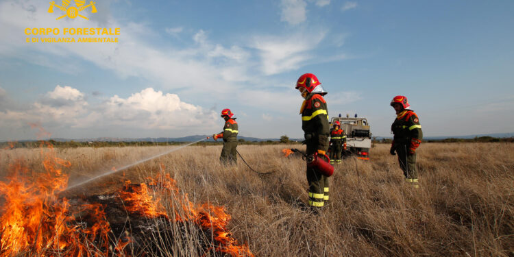 Incendio nelle campagne di San Gavino Monreale