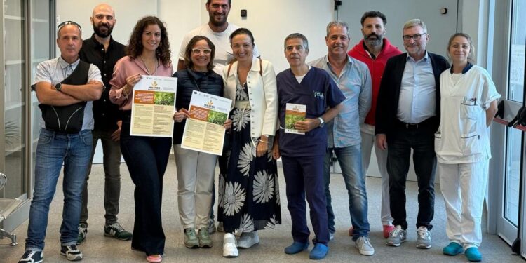 Dal suolo al benessere dell’uomo: il dipartimento di Scienze e salute pubblica di Unica coordinatore scientifico di un progetto che rivoluziona la filiera del frumento