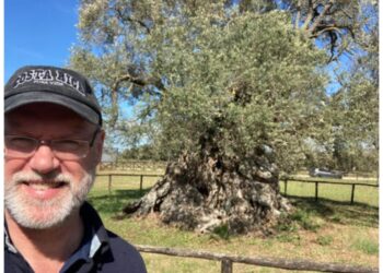 L’alboricoltore americano Doug Still parteciperà al convegno sugli alberi monumentali che si terrò a Iscuvudè-Illorai