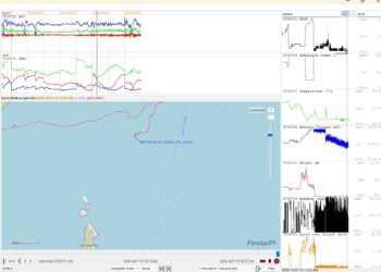 Villasimius: morto il grifone Mayra