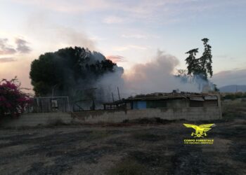 Il Corpo forestale ha salvato due anziani da un incendio a Quartu Sant’Elena