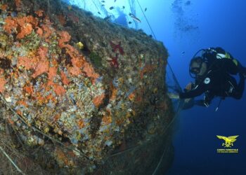 Un’alleanza per il mare: bonificati i fondali di Torre delle Stelle dalle reti fantasma