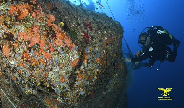 Un’alleanza per il mare: bonificati i fondali di Torre delle Stelle dalle reti fantasma