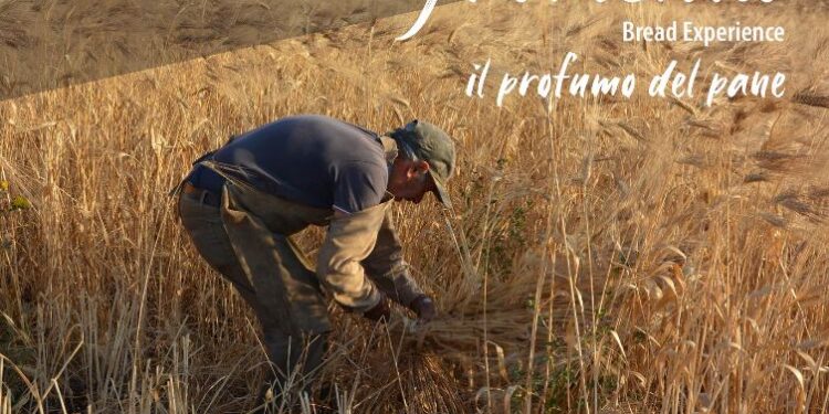 A Pompu la rassegna “Fromentu – Il profumo del pane”