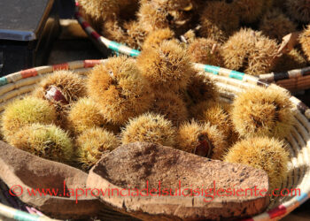 Aritzo celebra le sue radici con la 53ª Sagra delle castagne e delle nocciole