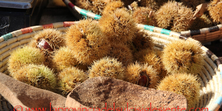 Aritzo celebra le sue radici con la 53ª Sagra delle castagne e delle nocciole