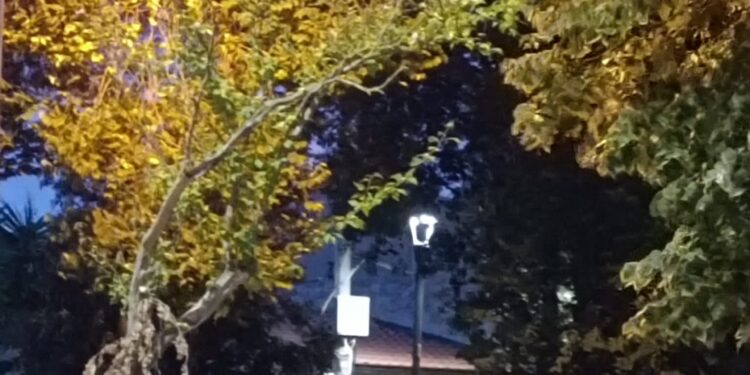 Nughedu Santa Vittoria: incidente stradale sulla provinciale 15, morto un ragazzo