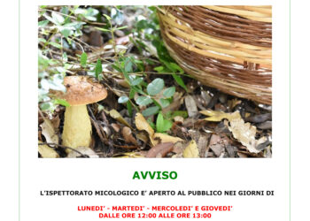 Oristano: Ispettorato micologico: consulenze per i raccoglitori di funghi spontanei e corsi formativi per ristoratori e rivenditori