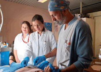 Ambulatorio di stomaterapia del Policlinico Duilio Casula, punto di riferimento in Sardegna