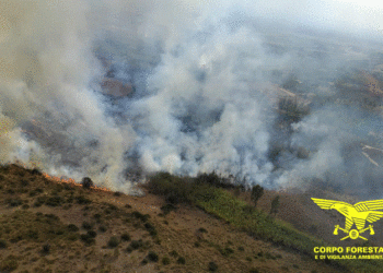 Incendio nelle campagne di Serrenti