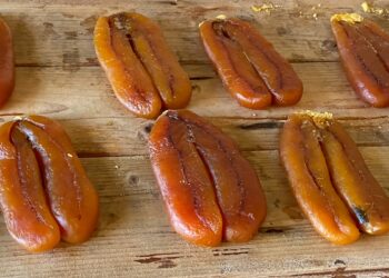 Festival della Bottarga 2025 – Alchimie di Gusto: ad un mese dalla chiusura a Cabras si contano i numeri di un’edizione da record e si confermano le date 2026.