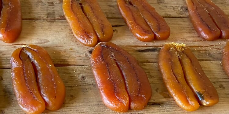 Festival della Bottarga 2025 – Alchimie di Gusto: ad un mese dalla chiusura a Cabras si contano i numeri di un’edizione da record e si confermano le date 2026.