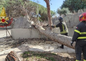 Una decina di interventi dei vigili del fuoco nel Cagliaritano per danni causati dal vento