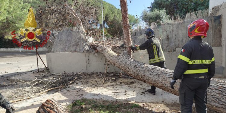 Una decina di interventi dei vigili del fuoco nel Cagliaritano per danni causati dal vento