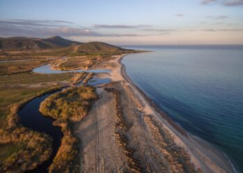 Foreste aperte nel Parco di Tepilora