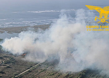 Cinque incendi nella pineta litoranea di Terralba e Arborea: arrestato un presunto piromane seriale