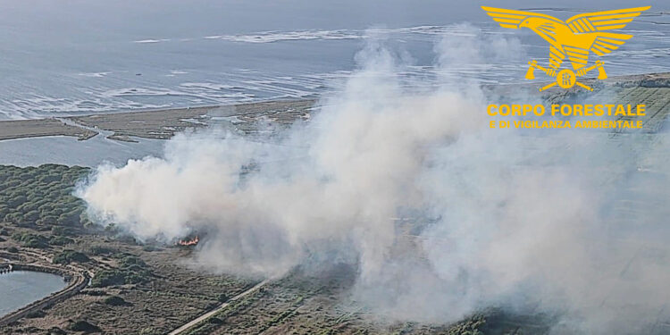Cinque incendi nella pineta litoranea di Terralba e Arborea: arrestato un presunto piromane seriale