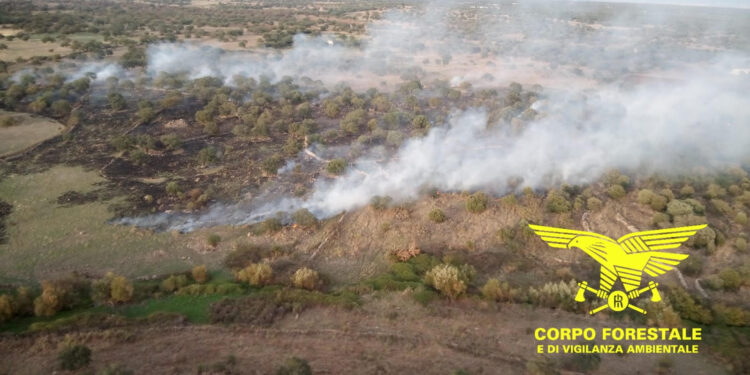 Incendio nelle campagne di Benetutti