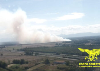 Incendio nelle campagne di Santa Giusta