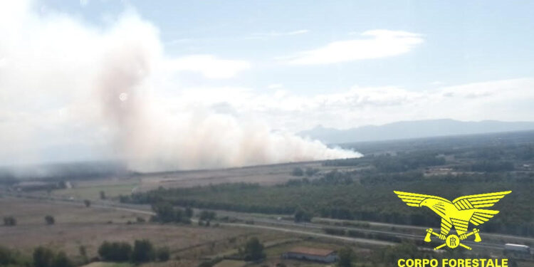 Incendio nelle campagne di Santa Giusta