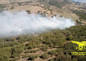 Incendi a Bortigali, Villanovaforru e Aidomaggiore