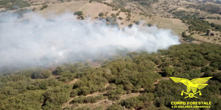 Incendi a Bortigali, Villanovaforru e Aidomaggiore