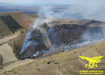 Incendi a Gesico e Furtei