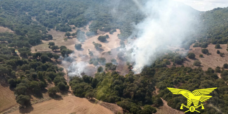 Emergenza incendi in Sardegna: 21 roghi segnalati oggi, tre hanno richiesto l’intervento dei mezzi aerei