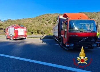Pattada: scende dal camion e viene travolto dal carico, morto un uomo