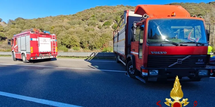 Pattada: scende dal camion e viene travolto dal carico, morto un uomo