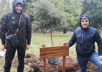 Cerimonia di messa a dimora di alberi a Iscuvudè, dedicati a botanici e nuovi nati nel comune di Illorai
