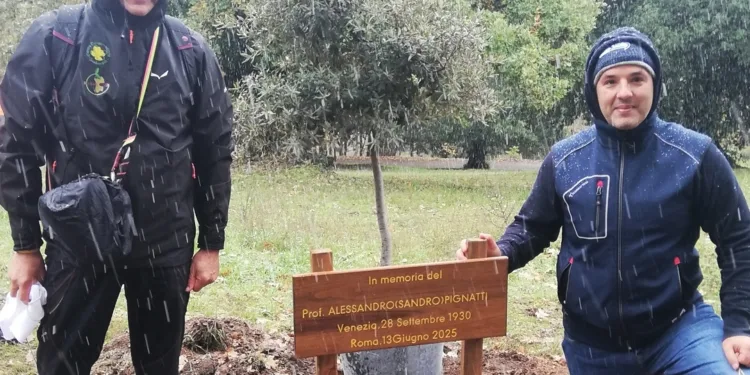 Cerimonia di messa a dimora di alberi a Iscuvudè, dedicati a botanici e nuovi nati nel comune di Illorai